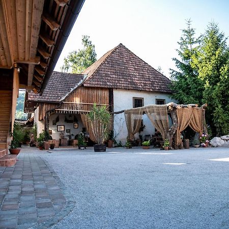 Resort Hisa Ida - Apartments With Hot Tub And Sauna Ivancna Gorica Exteriör bild